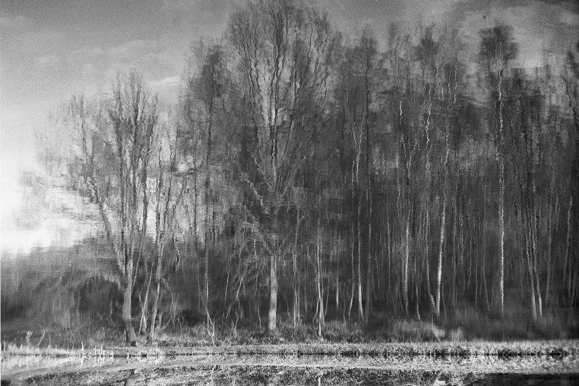 Vkl 2019 02 22 Leica M6 7Artisans 50 APX100 (8)